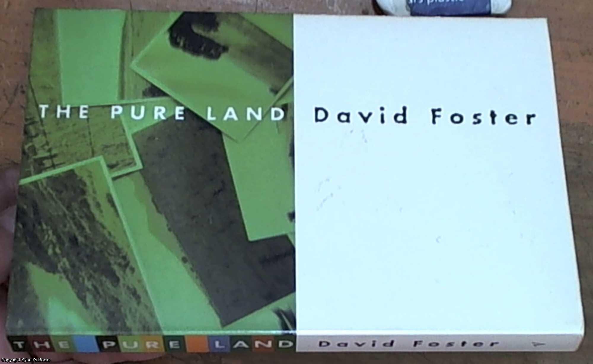 Foster, David - the pure land