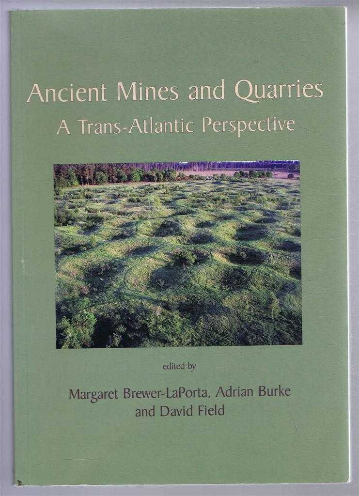 edited by Margaret Brewer-LaPorta; Adrian Burke; David Field - Ancient Mines and Quarries, a Trans-Atlantic Perspective