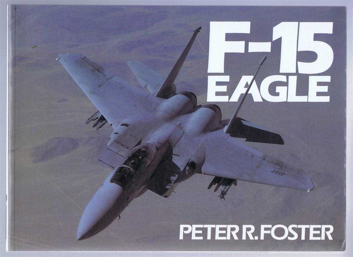 Peter R Foster - F-15 Eagle