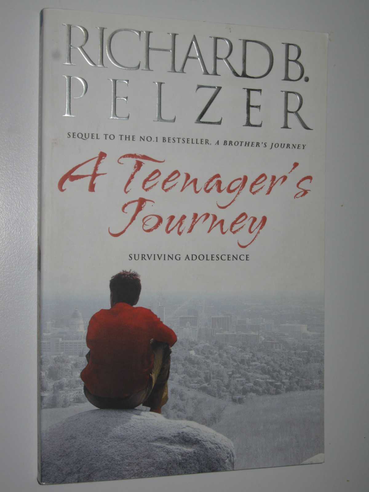 Image for A Teenager's Journey: Surviving Adolescence