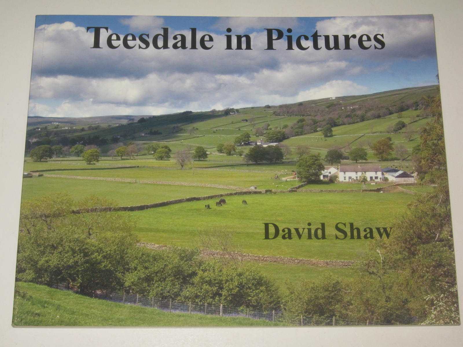 Teesdale in Pictures : A Photographic Study