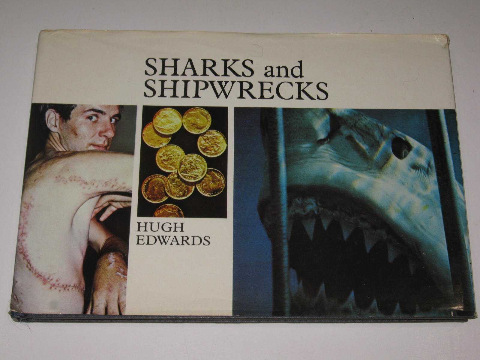 Sharks and Shipwrecks