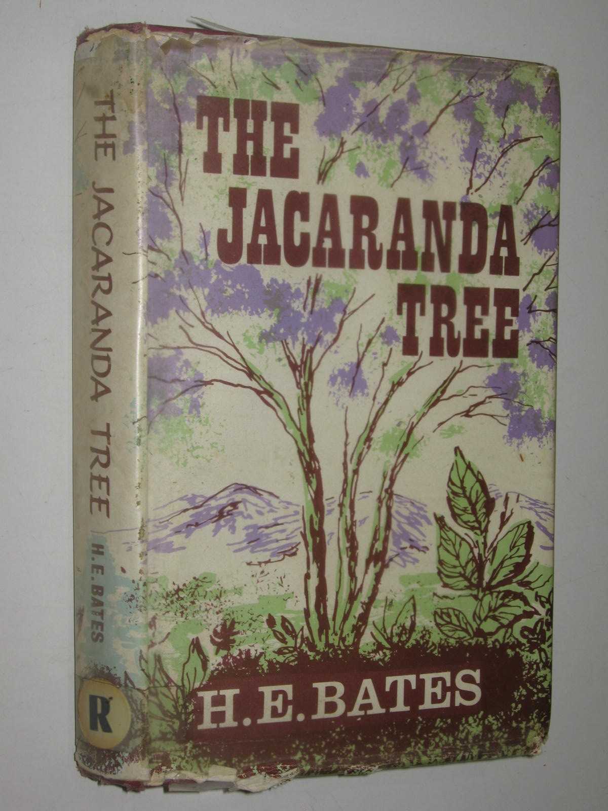 The Jacaranda Tree