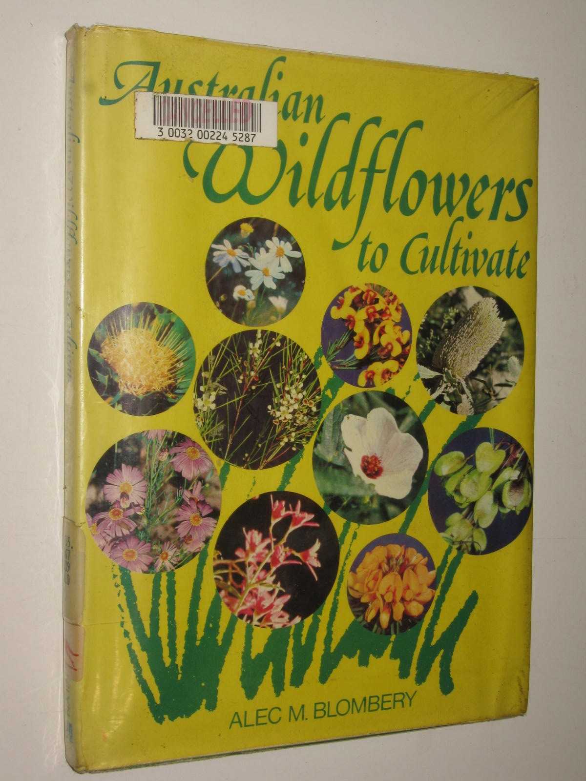 Australian Wildflowers To Cultivate