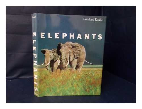 KUNKEL, REINHARD - Elephants