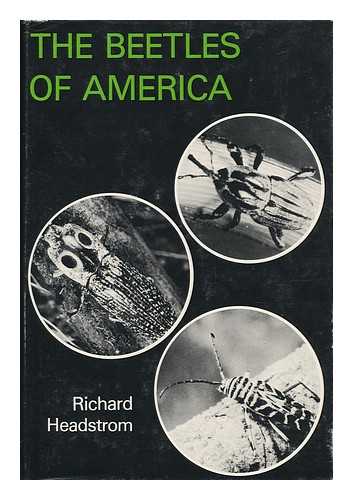 HEADSTROM, RICHARD - The Beetles of America