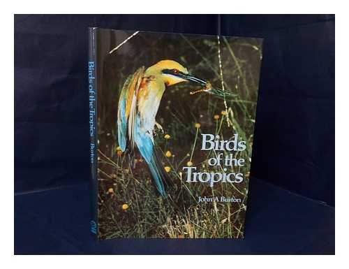 BURTON, JOHN A. - Birds of the Tropics [By] John A. Burton, with a Foreword by Dillon Ripley