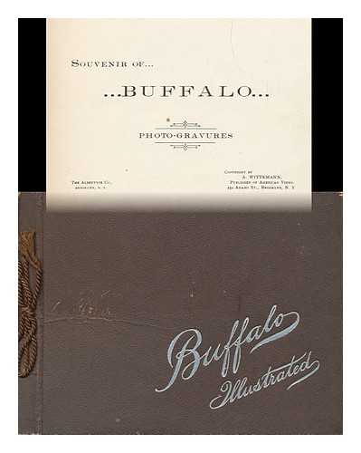 A. WITTEMANN. ALBERTYPE COMPANY - Souvenir of Buffalo; Photo-Gravures