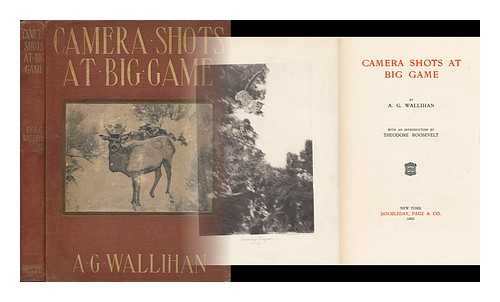 WALLIHAN, ALLEN GRANT (1859-) - Camera Shots At Big Game