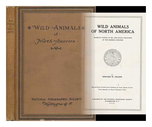 NELSON, EDWARD WILLIAM (1855-1934) - Wild Animals of North America, Intimate Studies of Big and Little Creatures of the Mammal Kingdom