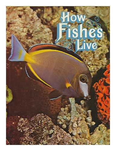 WHITEHEAD, PETER JAMES PALMER - How fishes live / Peter Whitehead