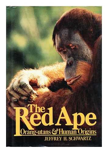 SCHWARTZ, JEFFREY H. (1948-) - The red ape : orang-utans and human origins / Jeffrey H. Schwartz