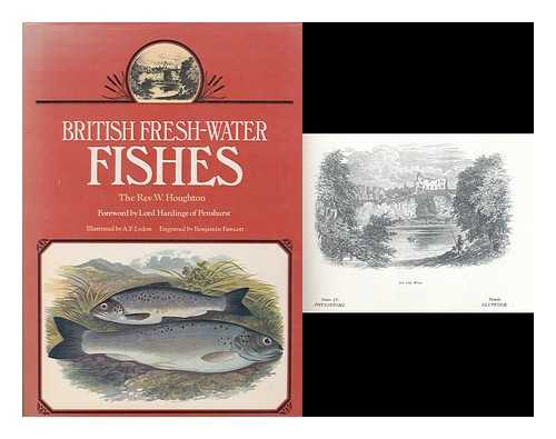 HOUGHTON, WILLIAM (1828-1895). LYDON, ALEXANDER FRANCIS (1836-1917) - British fresh-water fishes / W. Houghton ; foreword by Lord Hardinge of Penshurst ; illustrated by A.F. Lydon ; engraved by Benjamin Fawcett