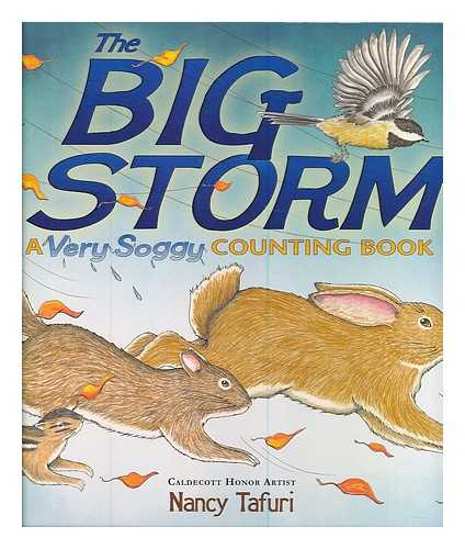 TAFURI, NANCY - The big storm : a very soggy counting book / Nancy Tafuri