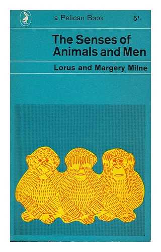 MILNE, LORUS JOHNSON (1912-).  MILNE, MARGERY JOAN GREENE (1914-) - The senses of animals and men / Lorus and Margery Milne. Drawings by Kenneth Gosner