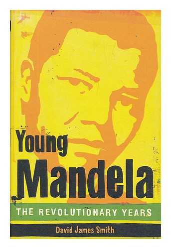 Smith, David James - Young Mandela