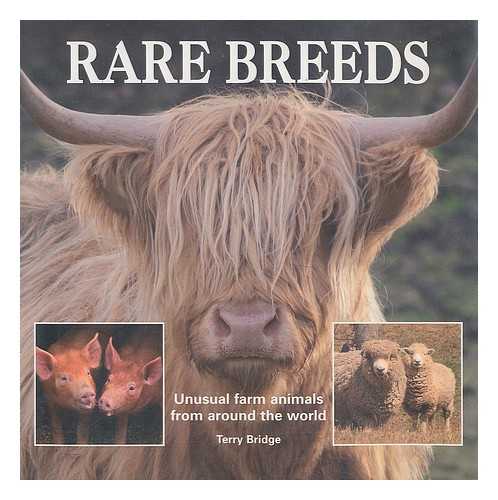 BRIDGE, TERRY - Rare breeds