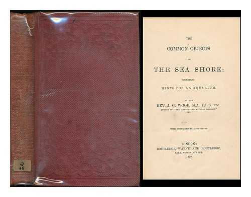 WOOD, JOHN GEORGE (1827-1889) - The common objects of the sea shore : including hints for an aquarium