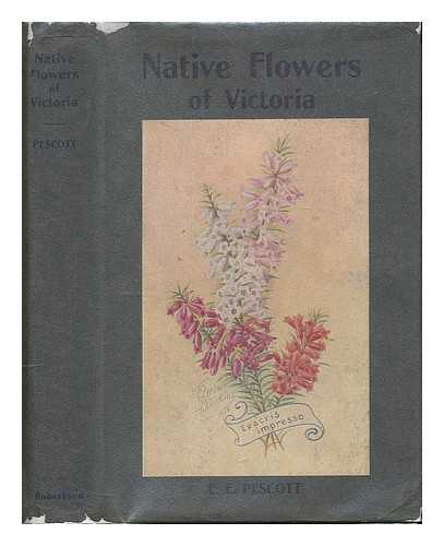 PESCOTT, EDWARD EDGAR - The native flowers of Victoria / Edward Edgar Pescott; with an introduction by A. J. Ewart