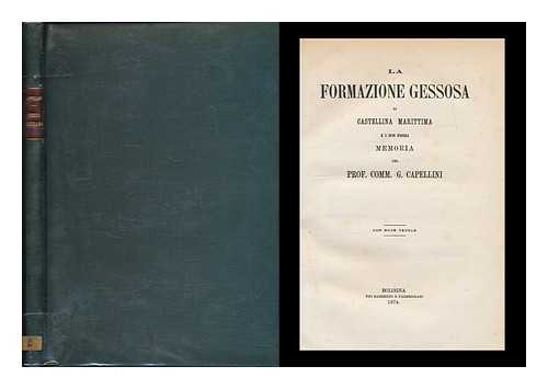 CAPELLINI, GIOVANNI - La Formazione Gessosa di Castellina maritima e i suoi fossili, memoria del Prof. Comm. G. Capellini