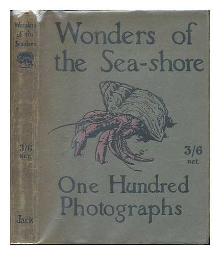 DUNCAN, F. MARTIN - Wonders of the seashore : illustrated by one hundred original photographs, 'through the camera'