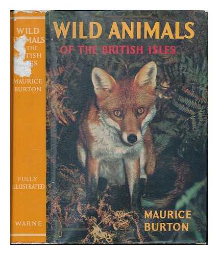 BURTON, MAURICE - Wild animals of the British Isles / Maurice Burton
