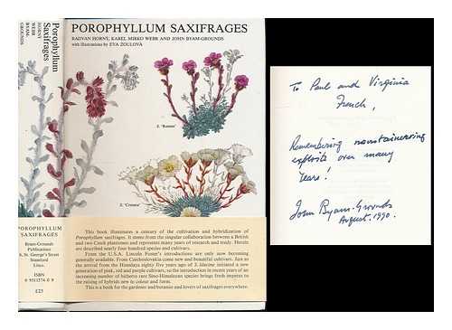 HORNAY, RADVAN ; WEBR, KAREL MIRKO.; BYAM-GROUNDS, JOHN - Porophyllum saxifrages