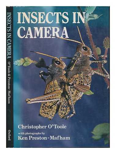 O'TOOLE, CHRISTOPHER - Insects in camera : a photographic essay on behaviour / text, Christopher O'Toole ; photography, Ken Preston-Mafham