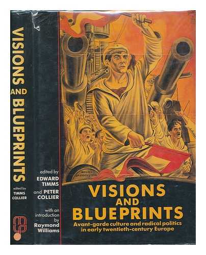 TIMMS, EDWARD - Visions and blueprints : avant-garde culture and radical politics in early twentieth-century Europe / edited by Edward Timms and Peter Collier ; with an introduction by Raymond Williams