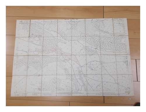 DIRECTOR GENERAL AT THE ORDINANCE SURVEY OFFICE - Ordinance Map of New Park, Bucklandburgh, South Devon