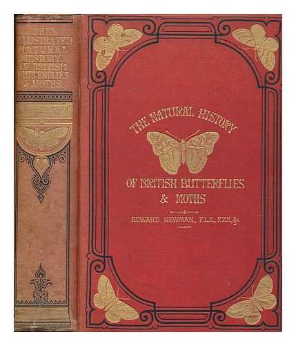 NEWMAN, EDWARD - An Illustrated Natural History of British Butterflies