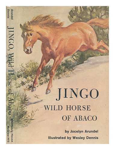 ARUNDEL, JOCELYN - Jingo, wild horse of Abaco illus. by Wesley Dennis