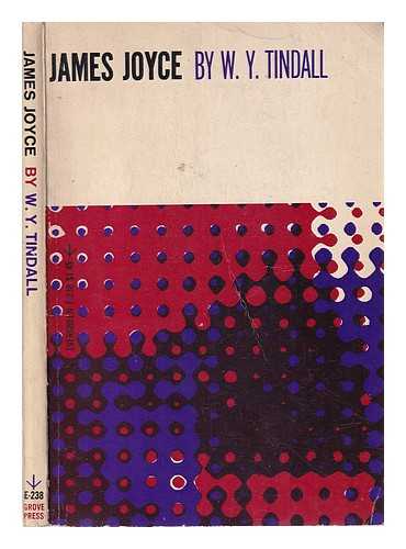 Tindall, William York (1903-1981) - James Joyce/ His Way of Interpreting the modern world/ W.Y. Tindall