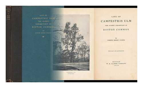 CURTIS, JOSEPH HENRY (1841-) - Life of Campestris Ulm, the Oldest Inhabitant of Boston Common, by Joseph Henry Curtis; with Maps and Illustrations [Aged Elm Tree Standing on the Beacon Street Front of the Common, Near the Site of the Gov. Hancock House]