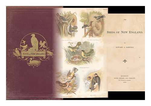 SAMUELS, EDWARD AUGUSTUS - The Birds of New England