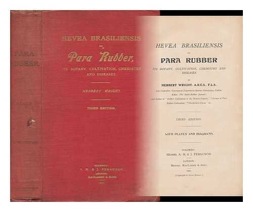 WRIGHT, HERBERT - Hevea Brasiliensis, or Para Rubber, its Botany, Cultivation, Chemistry and Diseases