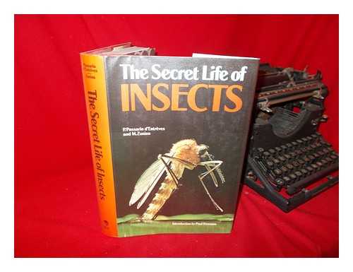 PASSERIN D'ENTREVES, P. - The Secret Life of Insects / [By] P. Passarin D'Entreves and M. Zunino