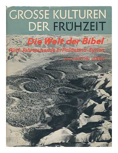 JIRKU, ANTON (1885-) - Die Welt Der Bibel; Funf Jahrtausende in Palastina-Syrien