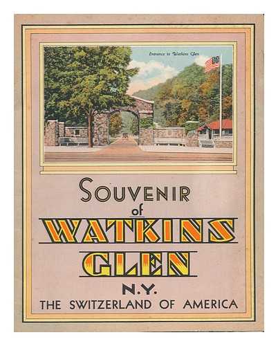 WATKINS GLEN RESERVATION - Souvenir of Watkins Glen, N. Y. , the Switzerland of America