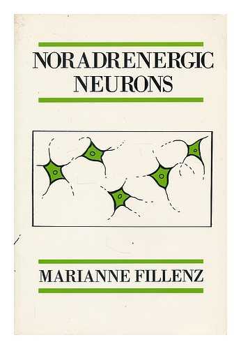 FILLENZ, MARIANNE - Noradrenergic Neurons