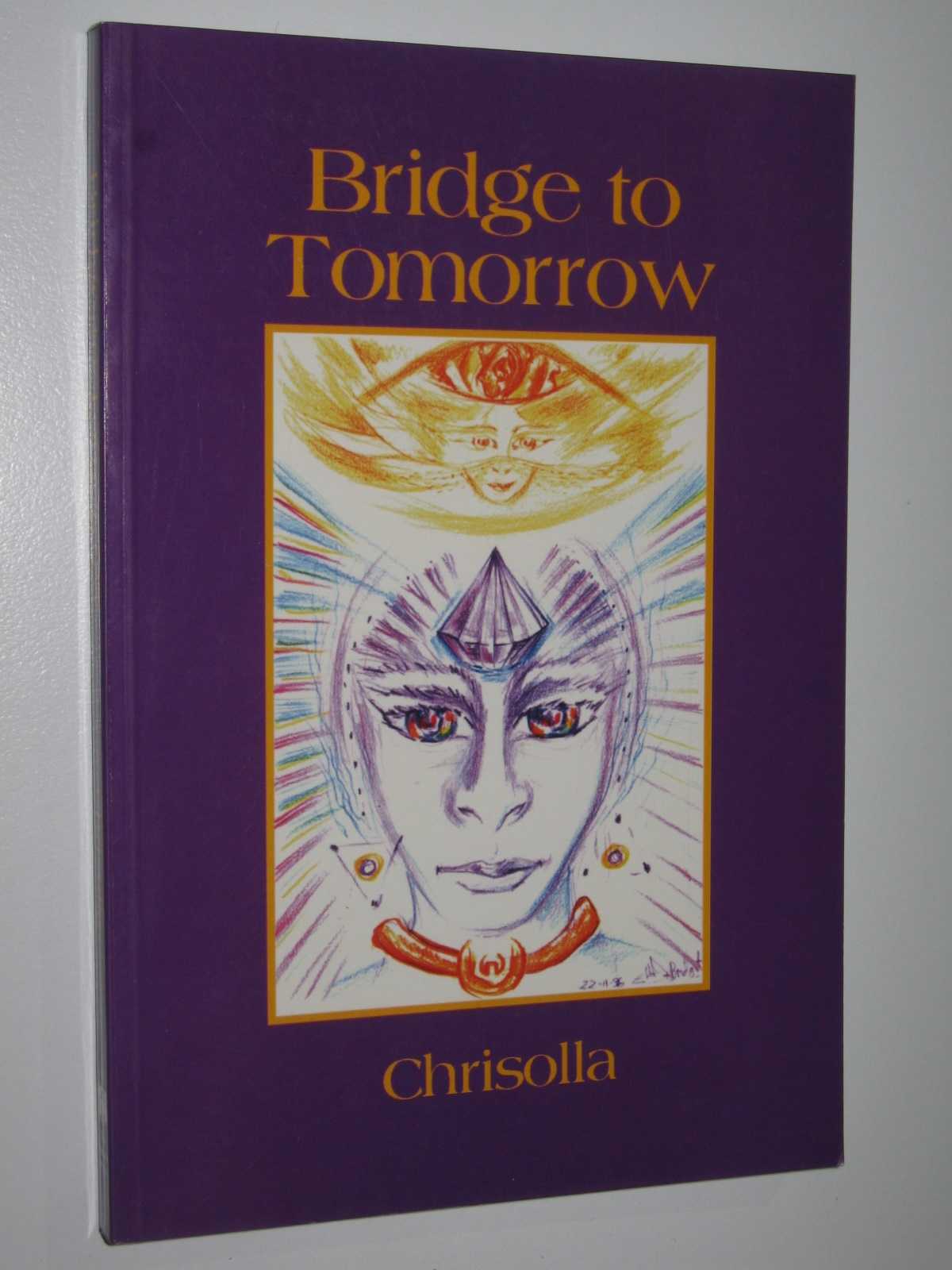 Bridge to Tomorrow by Chrislolla 1st ed Medium PB 1876494360 Oracle Press - Picture 1 of 3