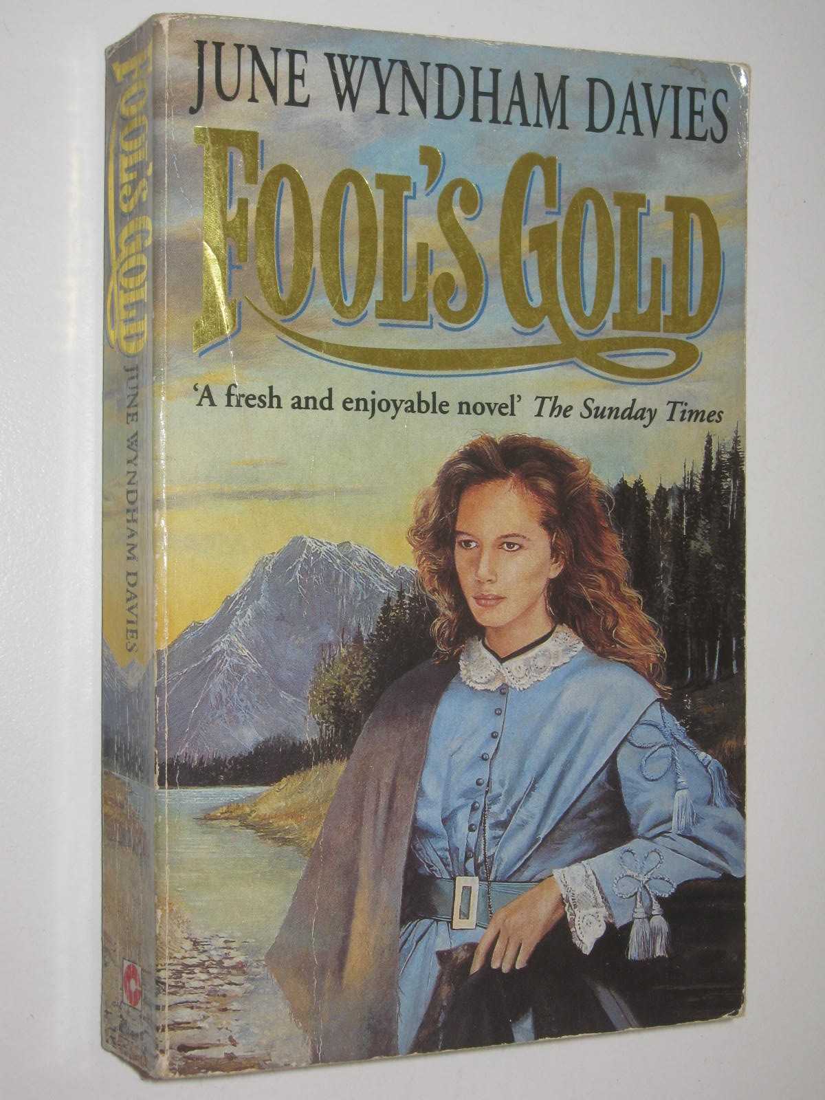 Fool's Gold by June Wyndham Davies Small PB 0340584912 Coronet - Picture 1 of 3
