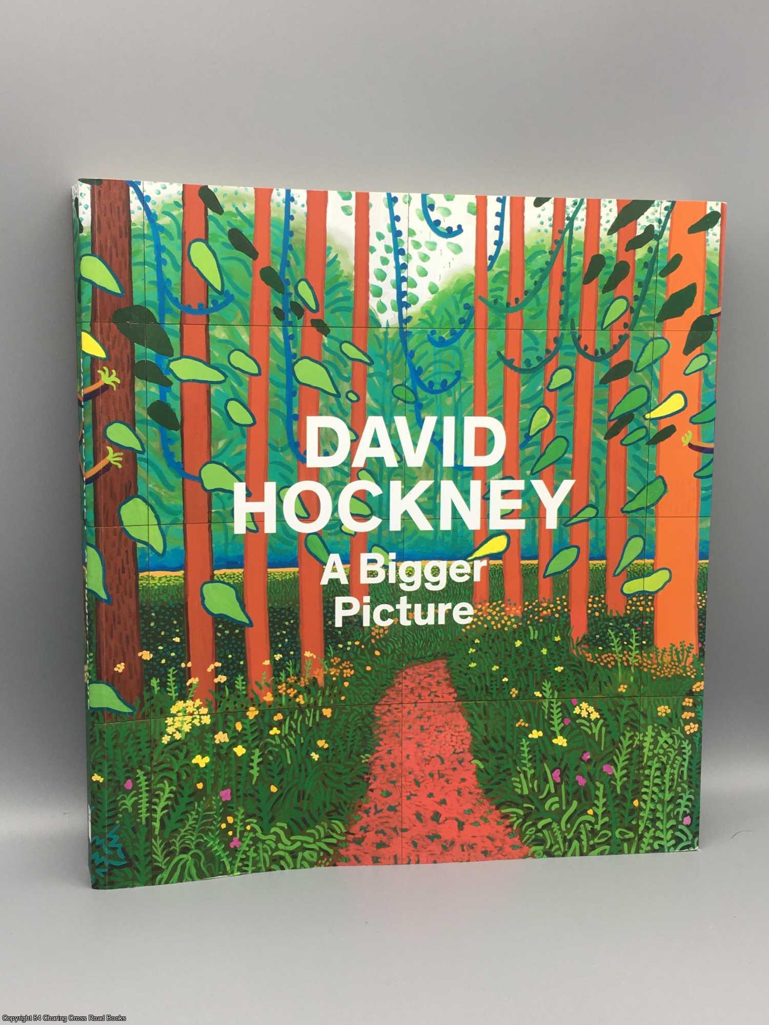 Barringer, Tim - David Hockney: A Bigger Picture
