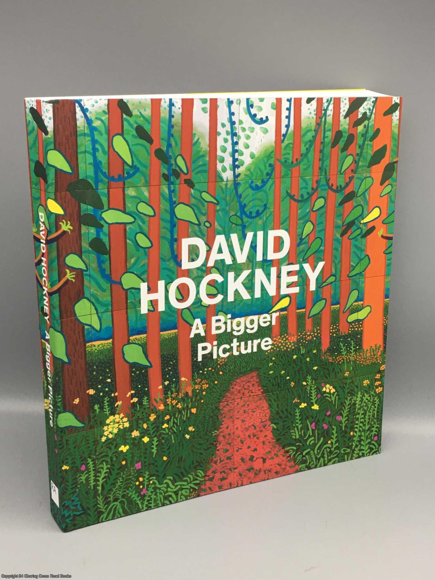 Barringer, Tim - David Hockney: A Bigger Picture