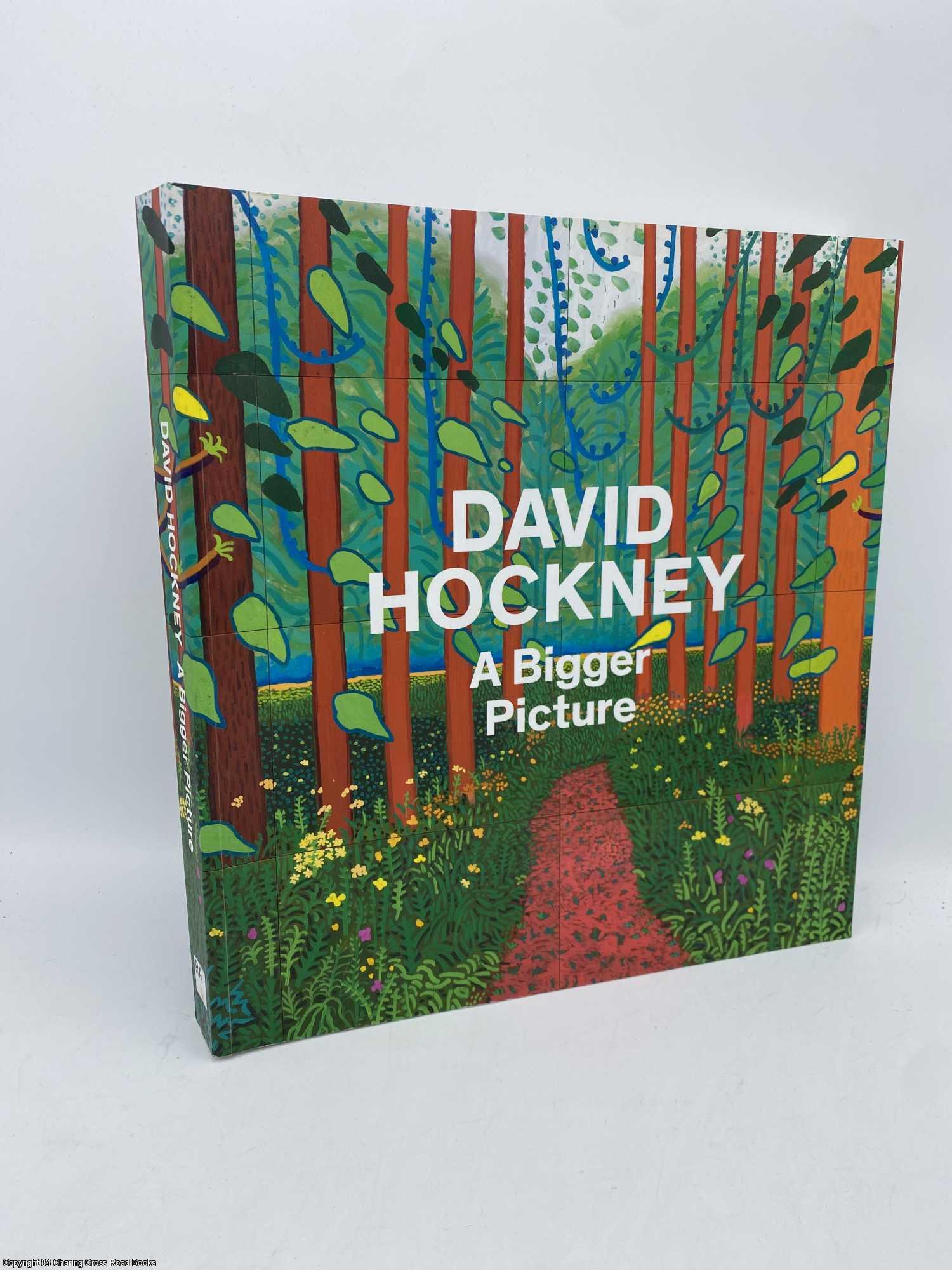 Hockney, David - David Hockney A Bigger Picture