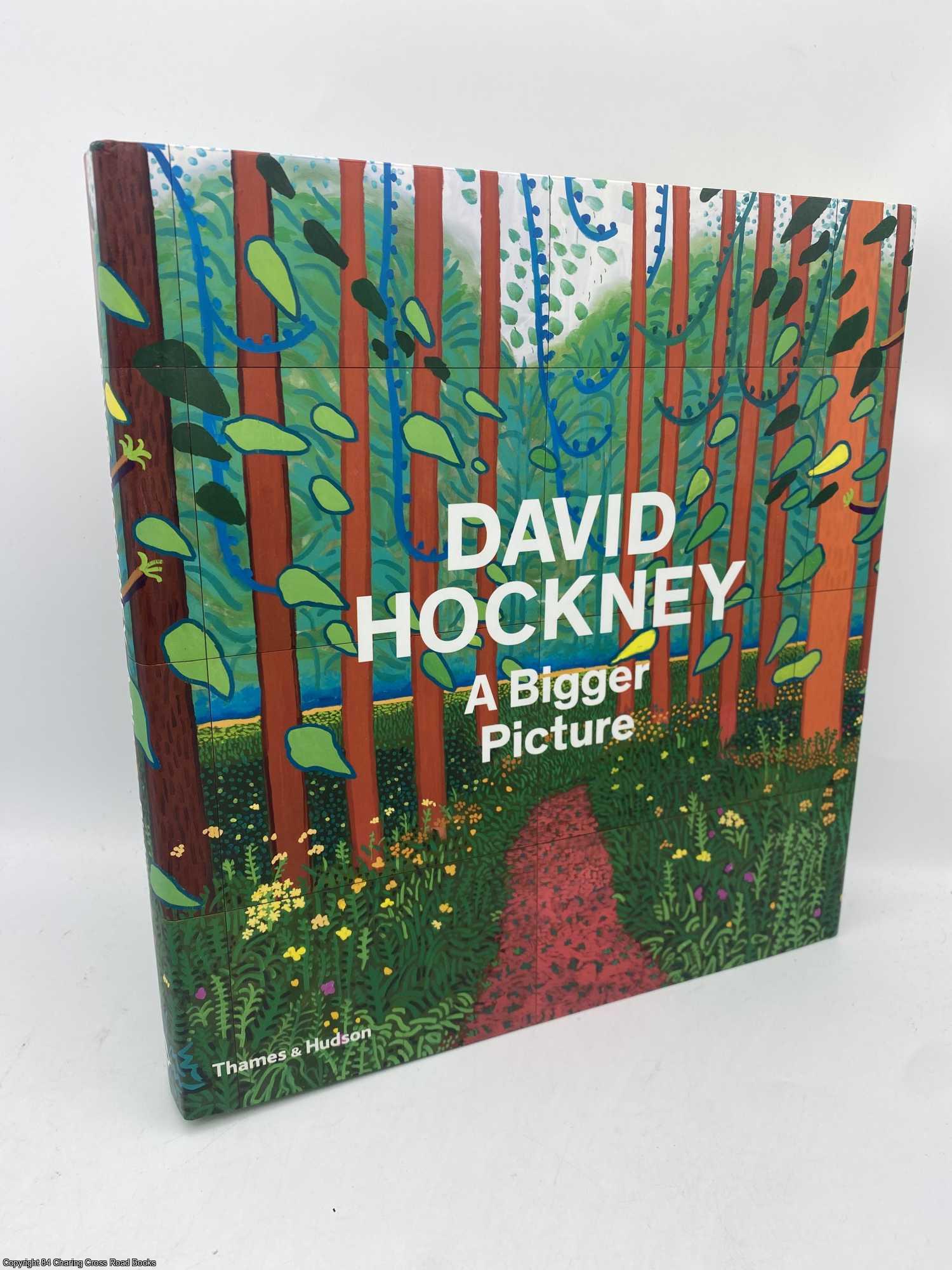 Hockney, David - David Hockney a Bigger Picture