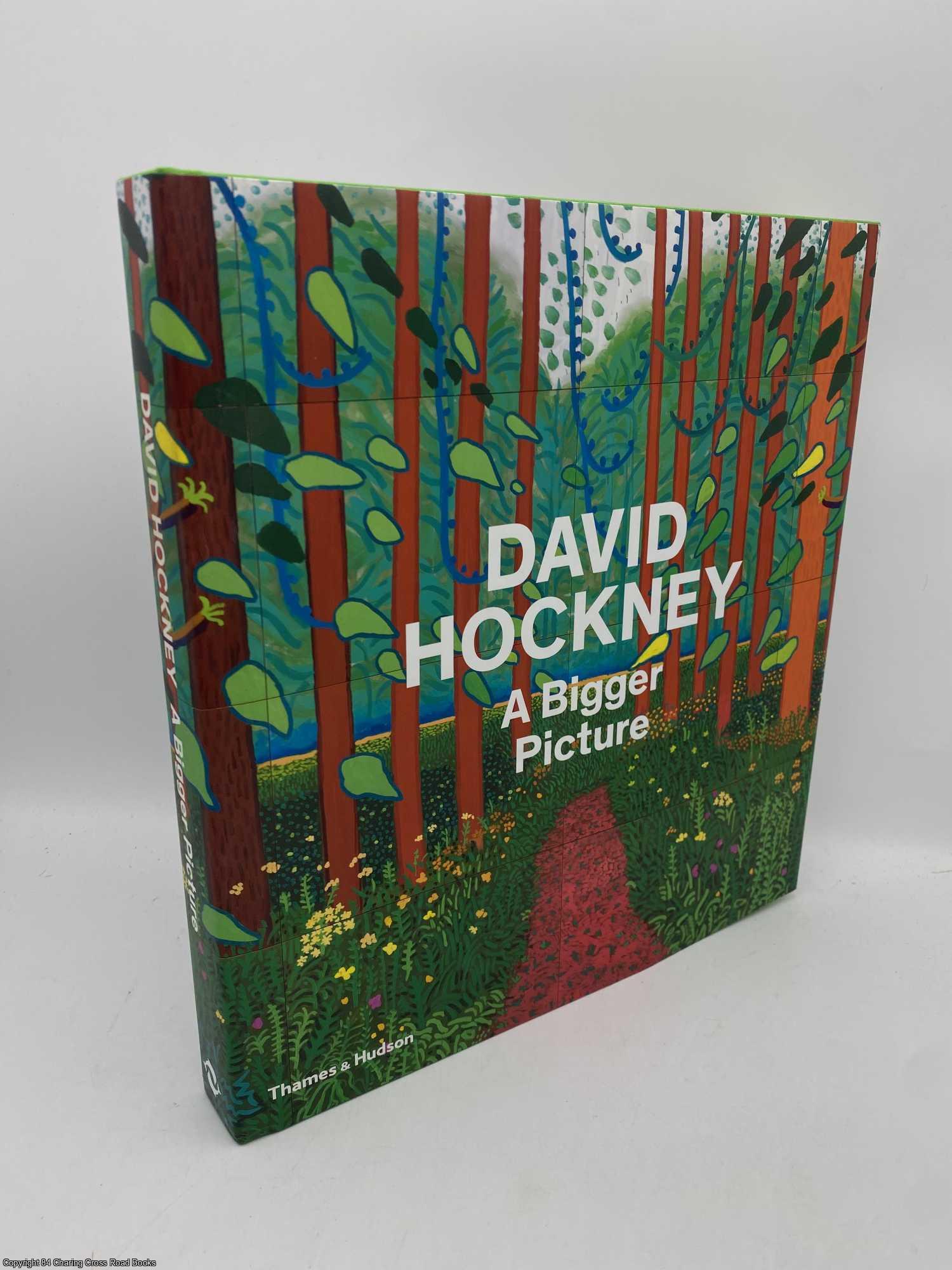 Hockney, David - David Hockney a Bigger Picture