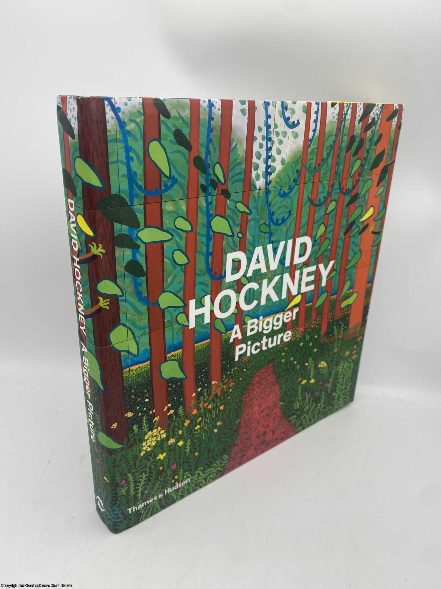 Hockney, David - David Hockney a Bigger Picture