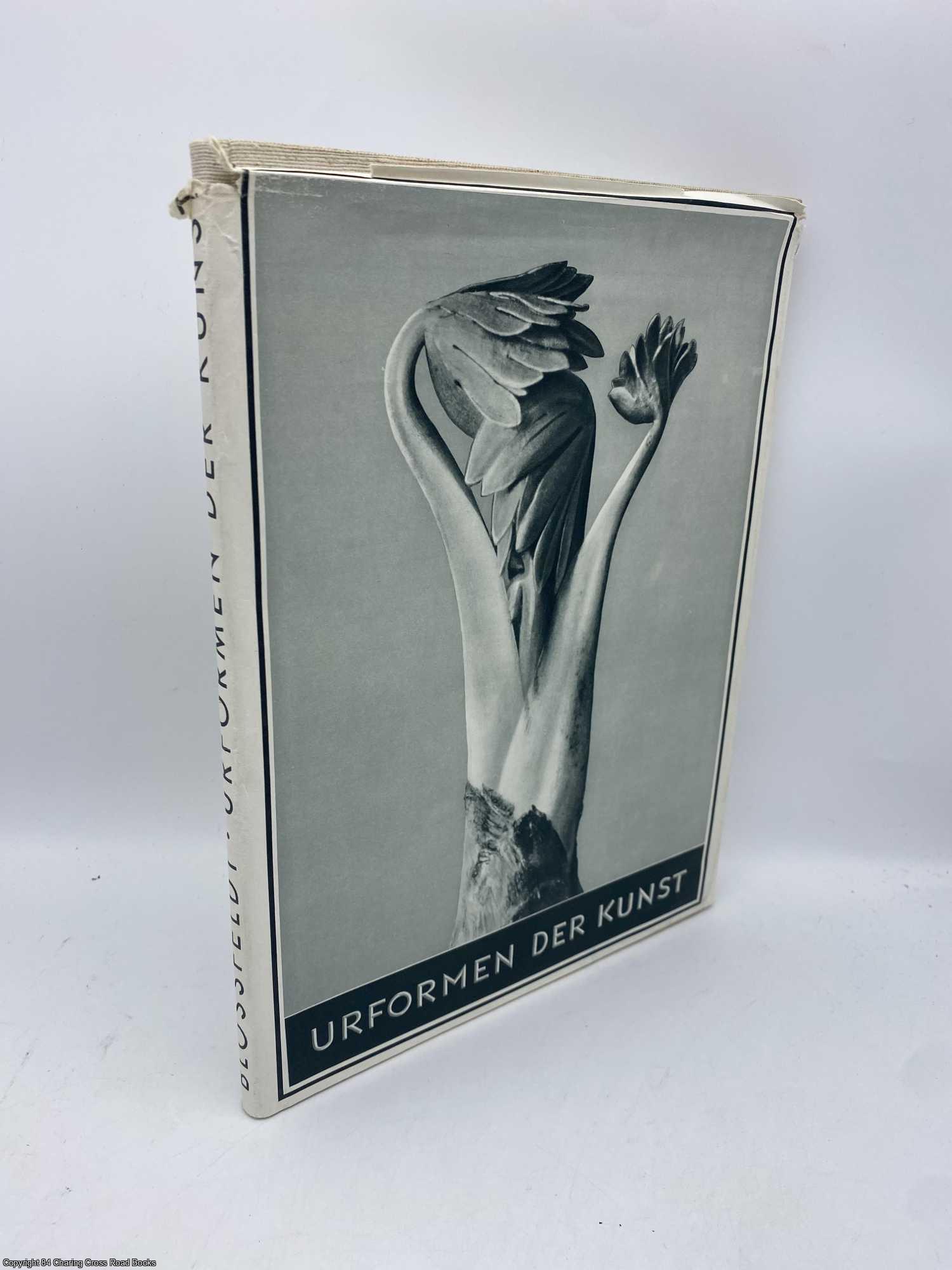 Blossfeldt, Karl - Urformen der Kunst
