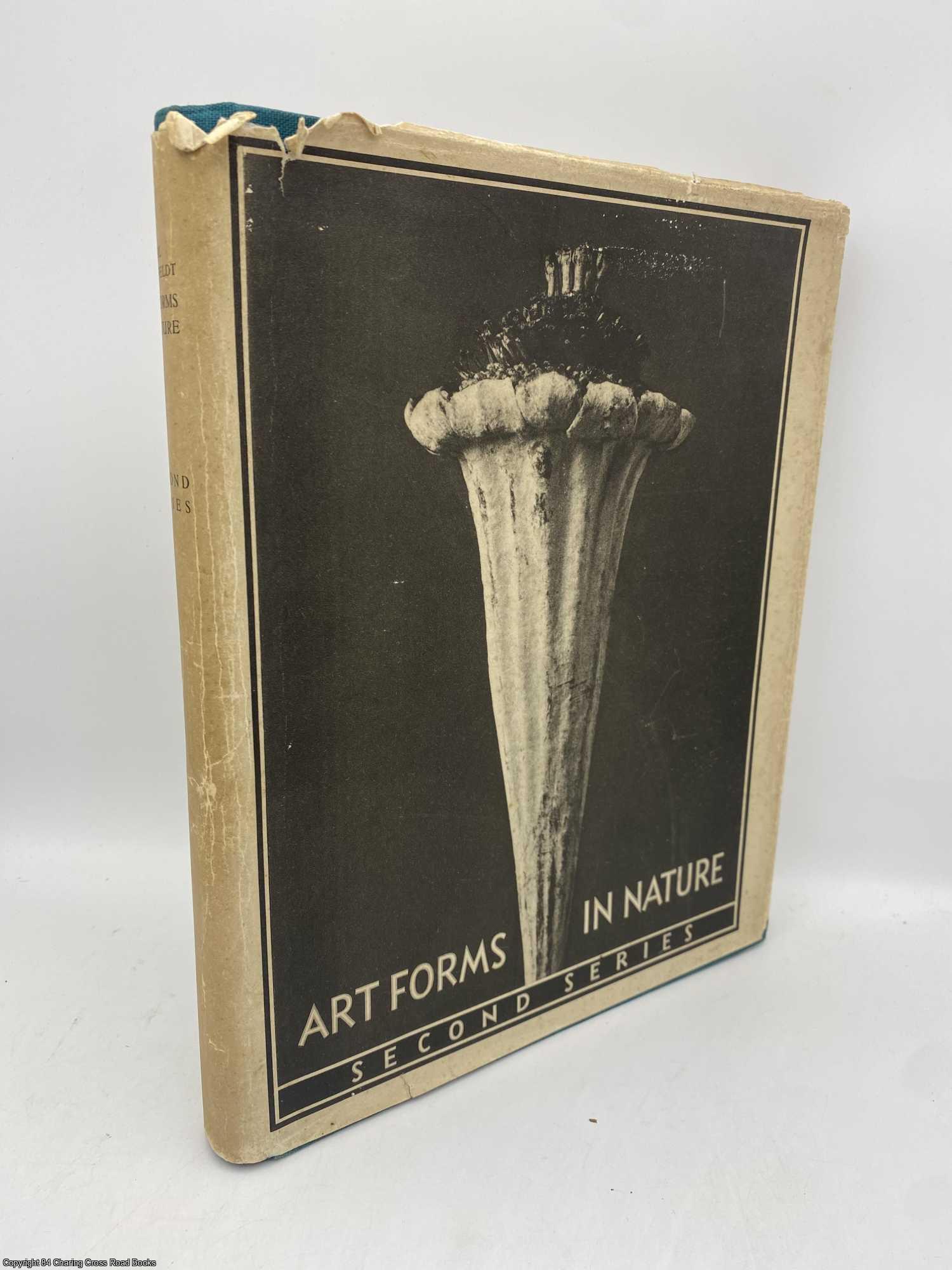 Blossfeldt, Karl - Art Forms in Nature Second Series